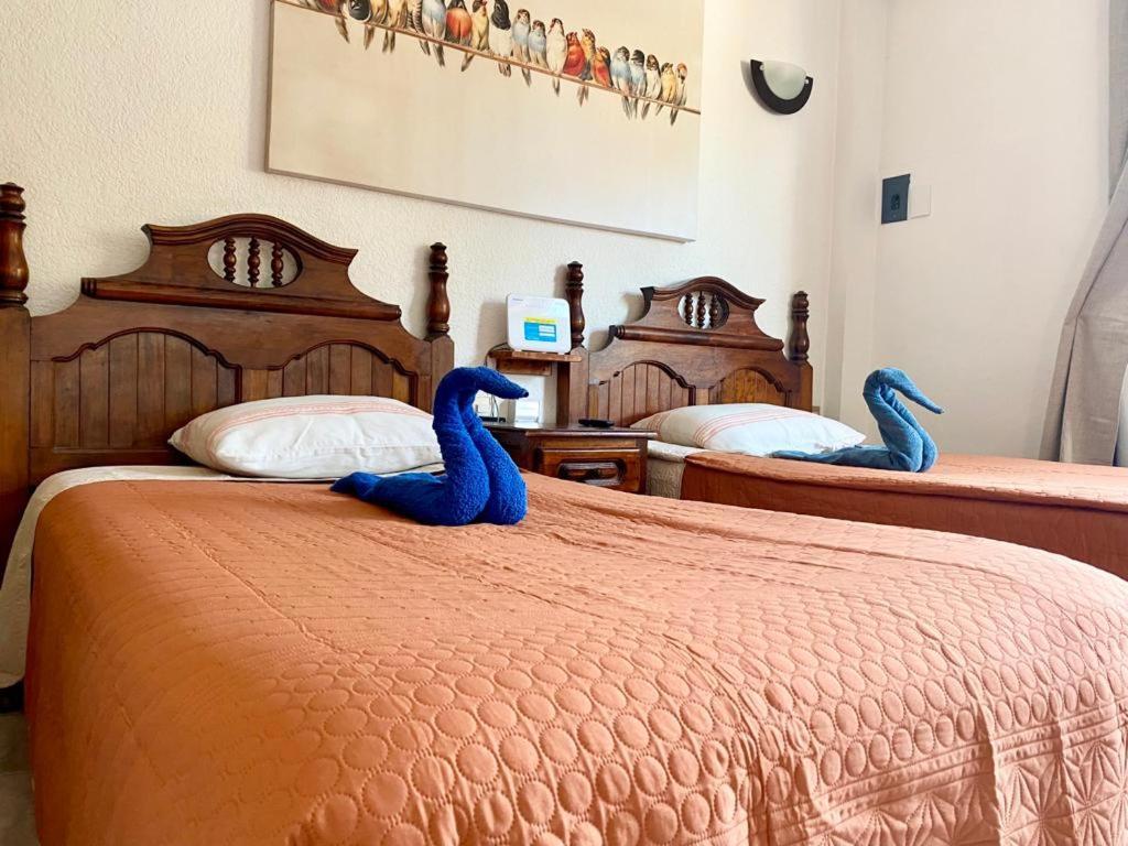 Brisas de Zicatela Suites Ximajo מראה חיצוני תמונה